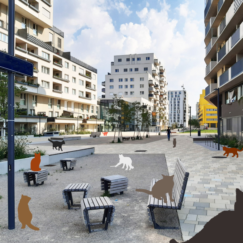 Das ist eine Test-Bildunterschrift, Credit: Fotograf Katze Katze